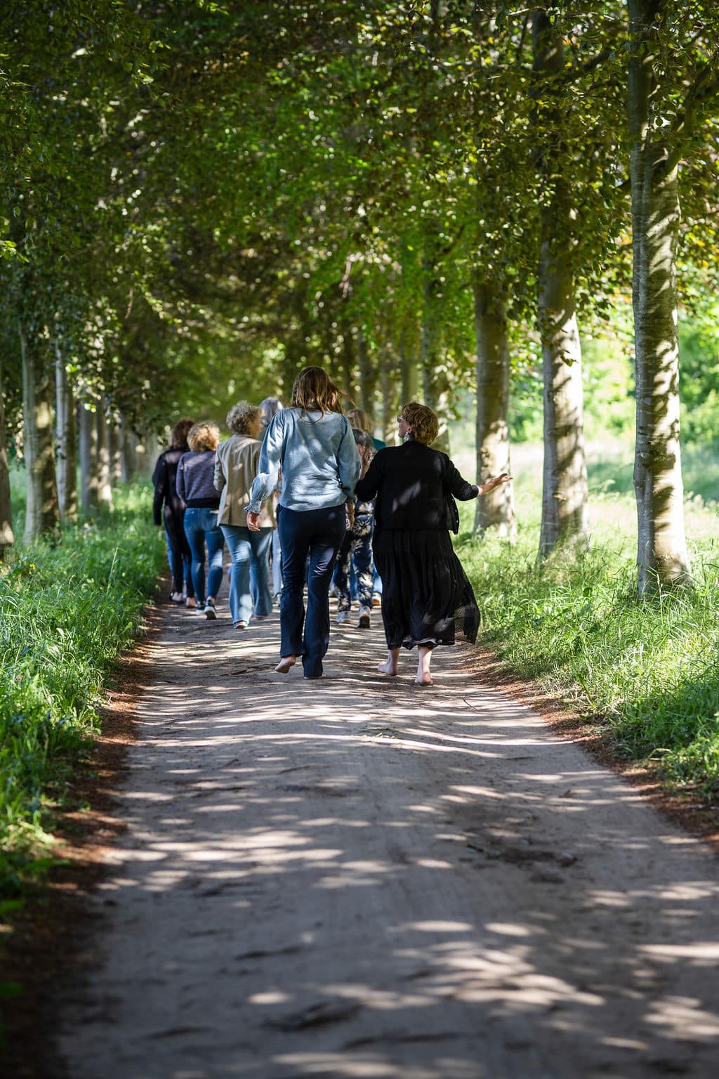 Stilte wandeling of bosbad (shinrin yoku)