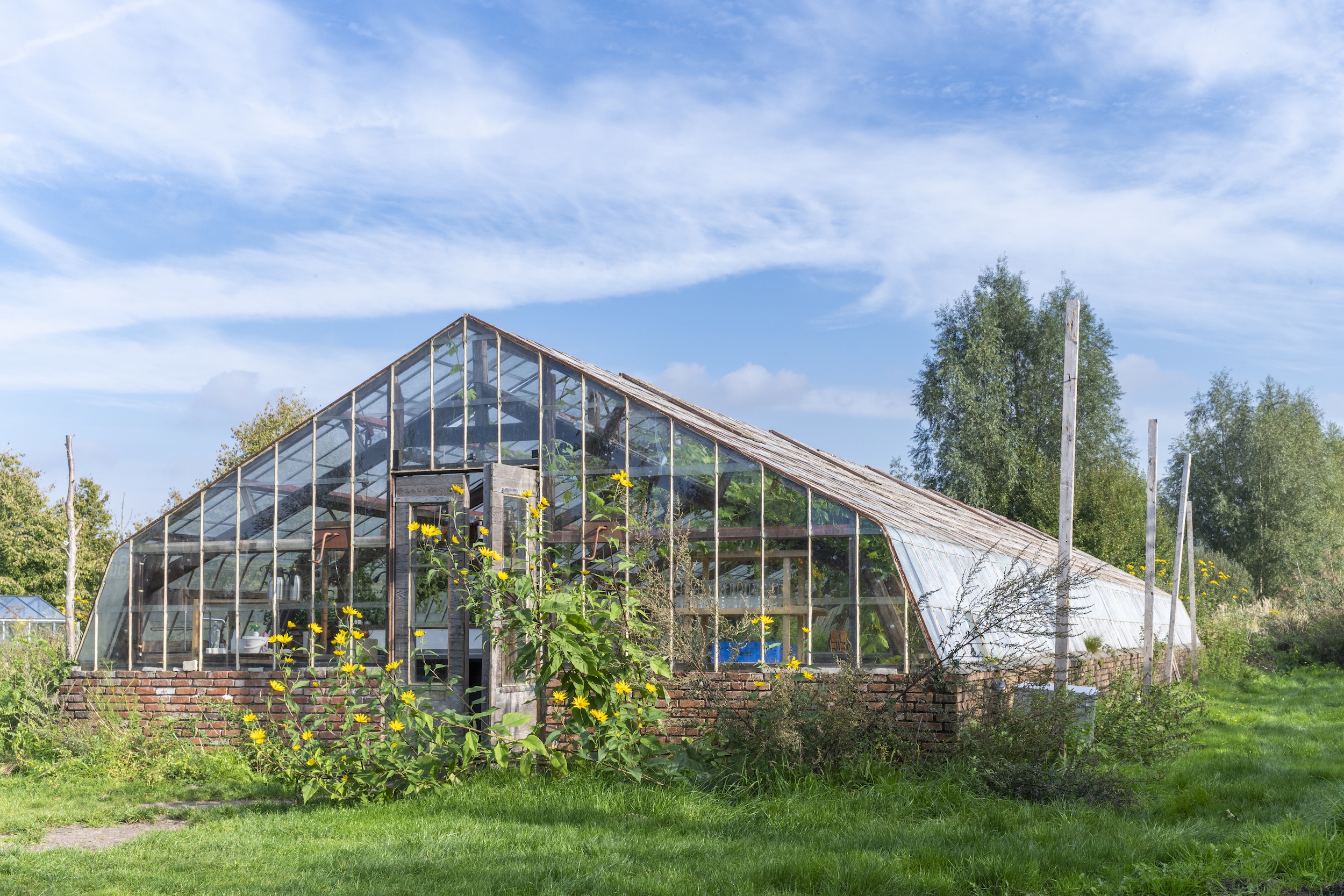 Greenhouse